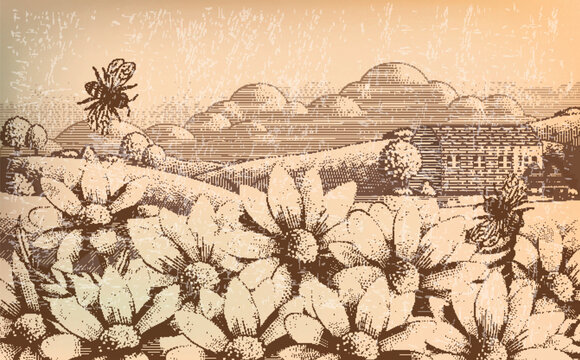 Engraved countryside scenery