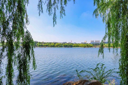 Natural landscape of Nanhu Park in Changchun City, Jilin province