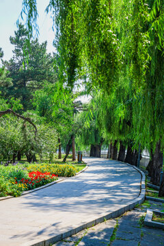 Natural landscape of Nanhu Park in Changchun City, Jilin province