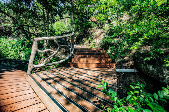Beautiful and natural mountain path